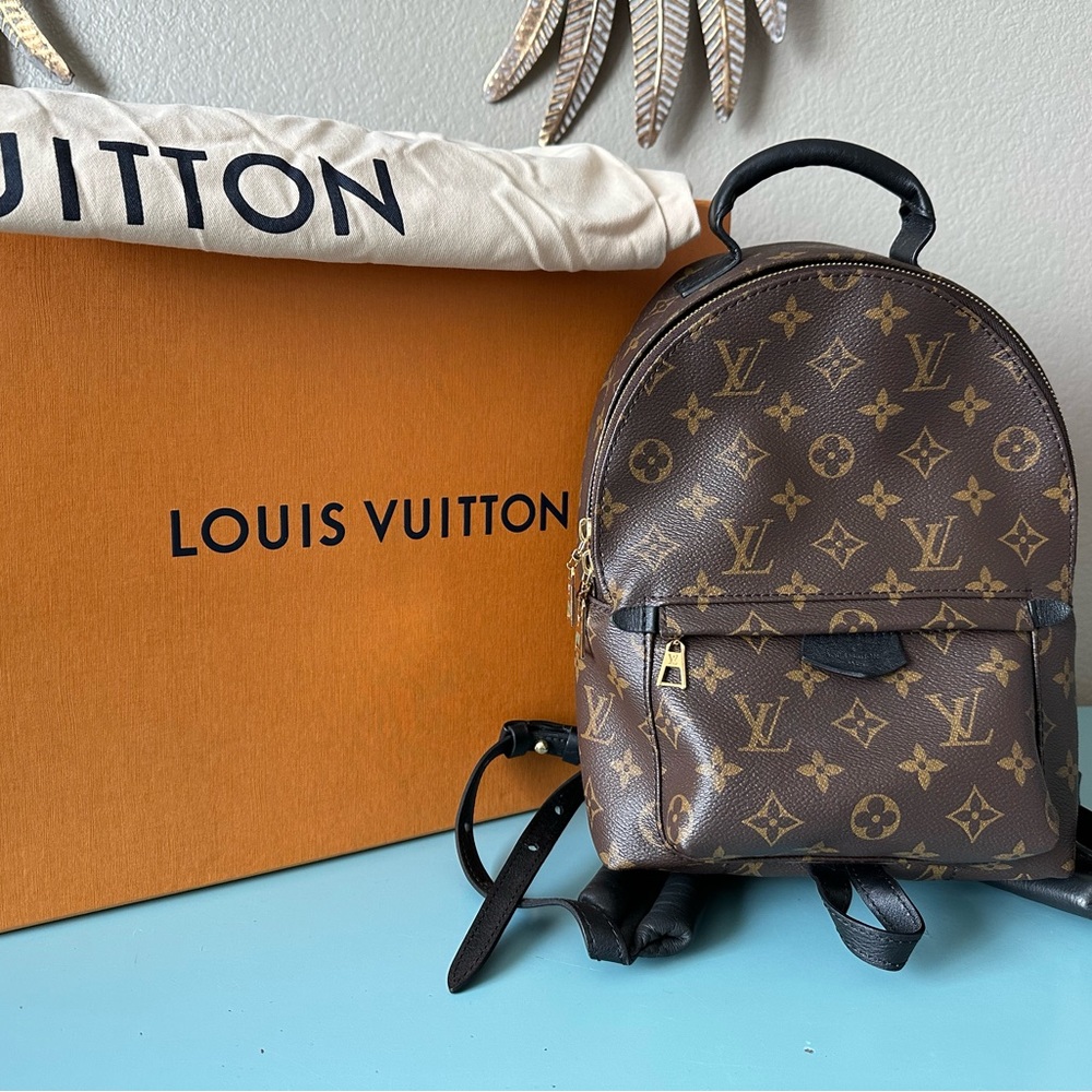Louis Vuitton Palm Springs PM Monogram backpack
